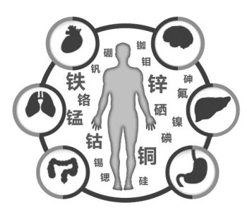 医用91视频污版免费厂家谈微量元素的重要性